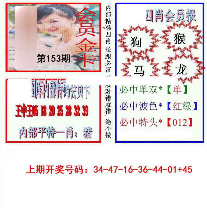九龍四肖会员报