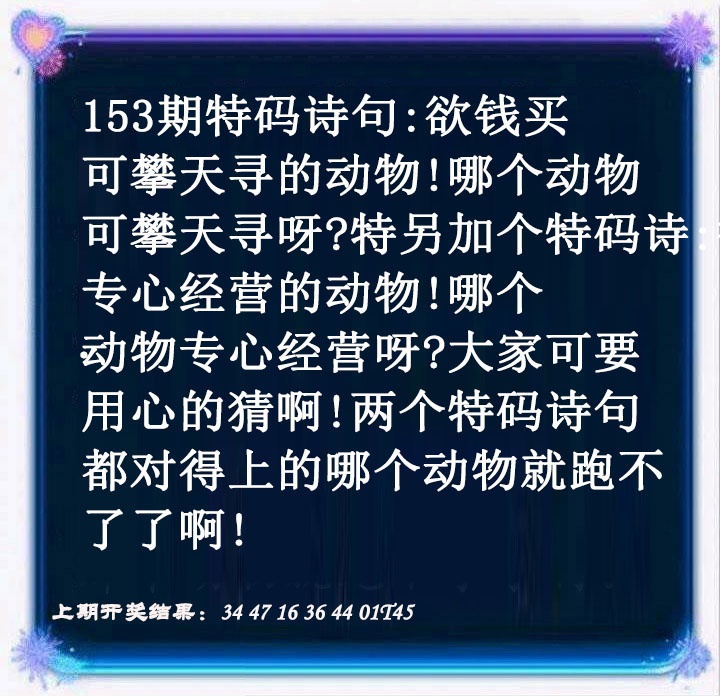 澳门欲钱料